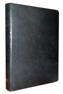 Біблія у сучасному українському перекладі Рафаіла Турконяка (натуральна шкіра)